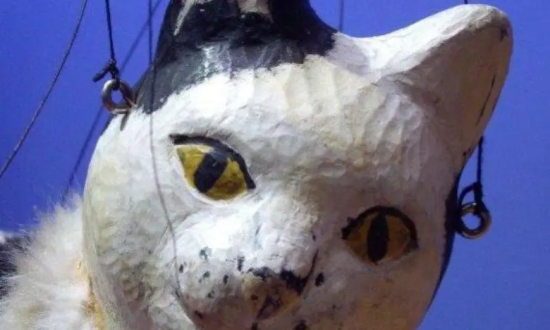 Theaterkat Mitzi