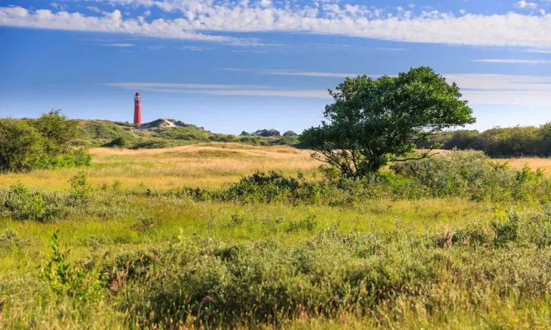 Struinen langs kwelder, duin en strand