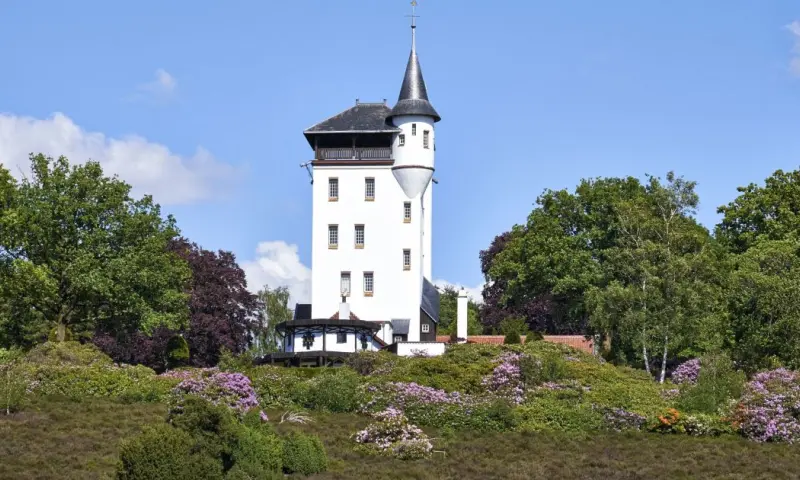 Wandeling met de boswachter over De Sprengenberg