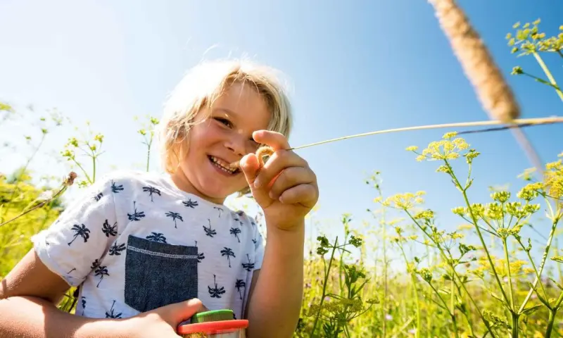 Op avontuur met de Boswachter: Spoorzoeken op de Sint-Pietersberg voor Gezinnen