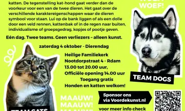 CATS VS DOGS