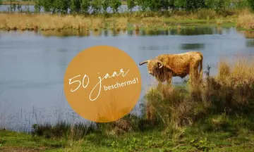 50 Jaar natuurherstel op Huis ter Heide