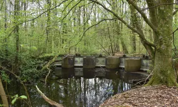 Ontdek de waterwerken in het Waterloopbos