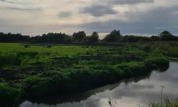 Dauwtrappen