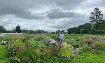 Met je team de tuin op