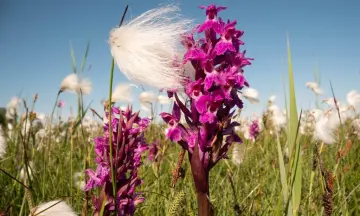 Workshop orchidee fotografie