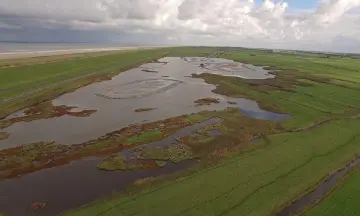 Wandelexcursie door de Harger- en Pettemerpolder