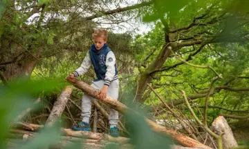 Takken sjouwen hutten bouwen