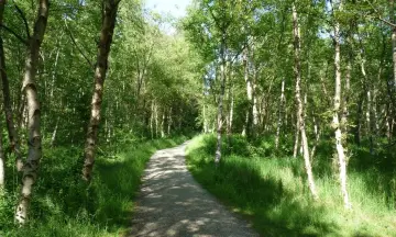 Duin- en boswandeling