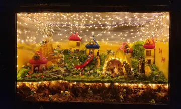 Kerststallenroute Baarn