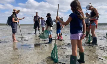 Wadexcursie Schiermonnikoog