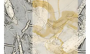 Expositie Het Ongeziene