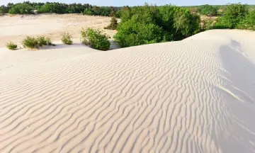 Mooie uitzichten en dierensporen in de Loonse en Drunense Duinen
