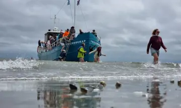 Zeehondentocht met zandplaatlanding