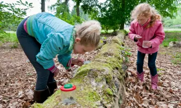 Duindetective: speuren naar sporen (6+)