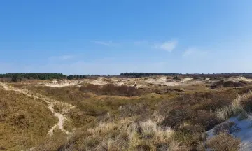 Duinwandeling tijdens de November Wandelmaand