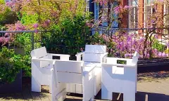 In de tuin