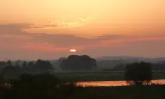 Vleermuizen en nachtvlinders spotten in de Dintelse Gorzen
