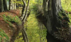 natuur en cultuur vanaf de Priesnitzhoeve