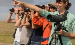 Vogelwandeling op Schiermonnikoog
