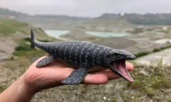 Gezinswandeling in de ENCI-groeve: De dieren van vroeger en nu