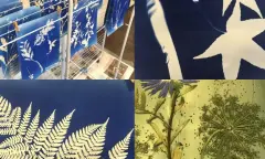 Workshop Cyanotype blauwdrukken